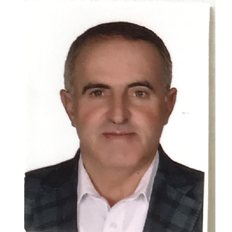 علی آلعلی