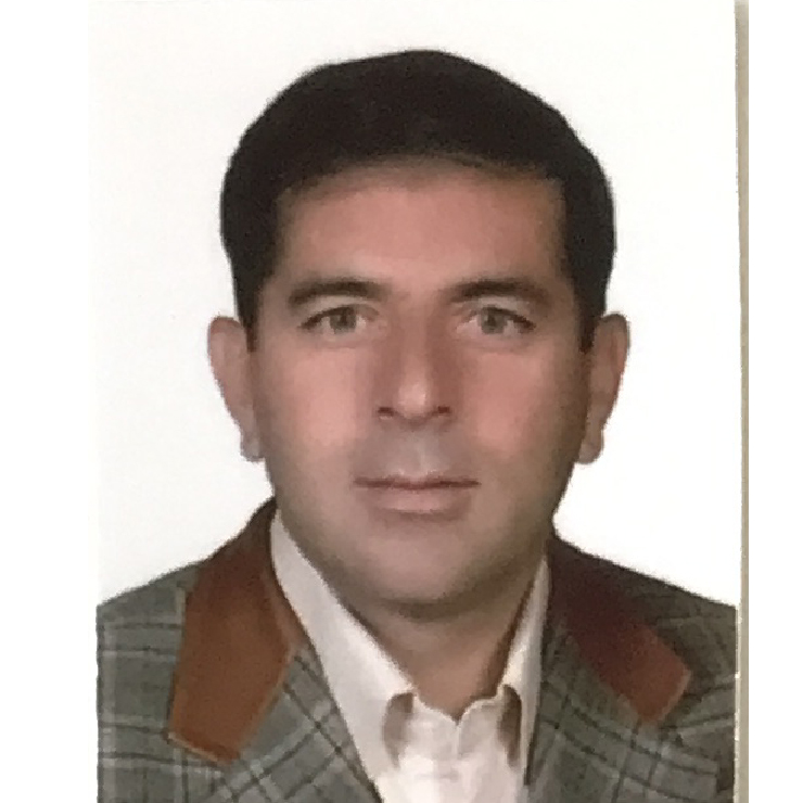 عضو کریس ونسل